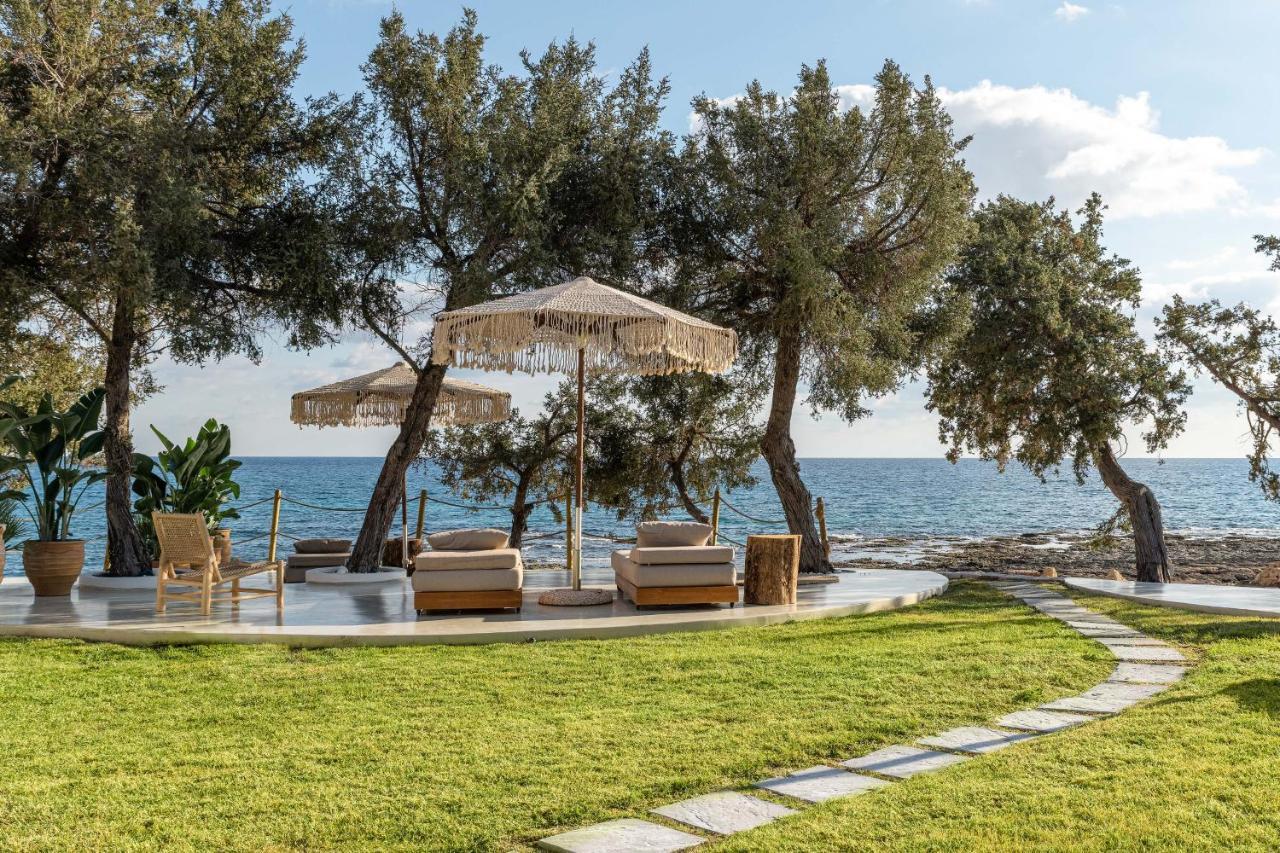 Villa Kivotos لاردوس المظهر الخارجي الصورة