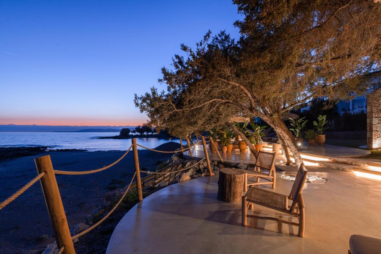 Villa Kivotos لاردوس المظهر الخارجي الصورة